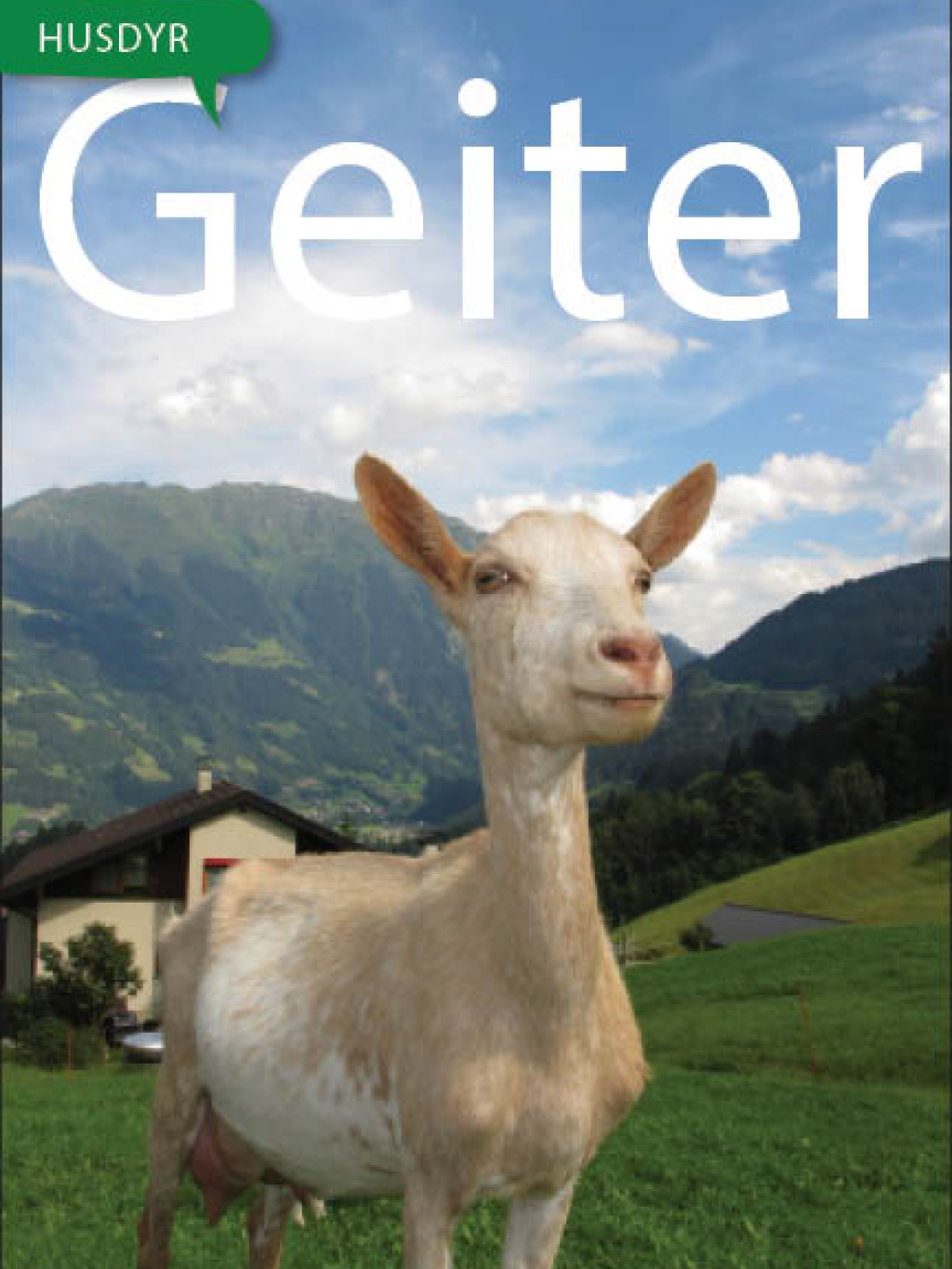Geiter