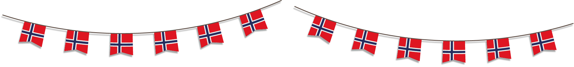 1920x550flagg
