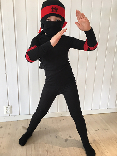 ninja1